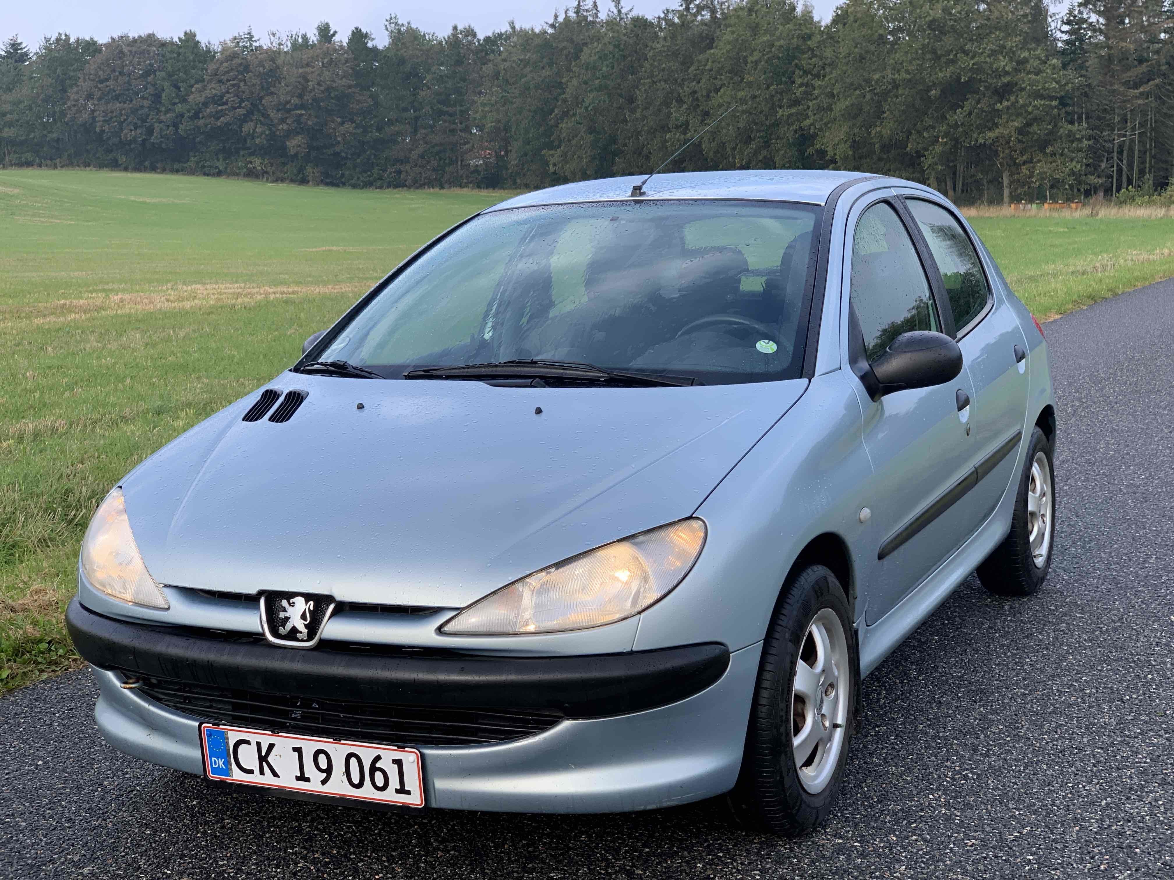 Blå Peugeot 206 fra 2001