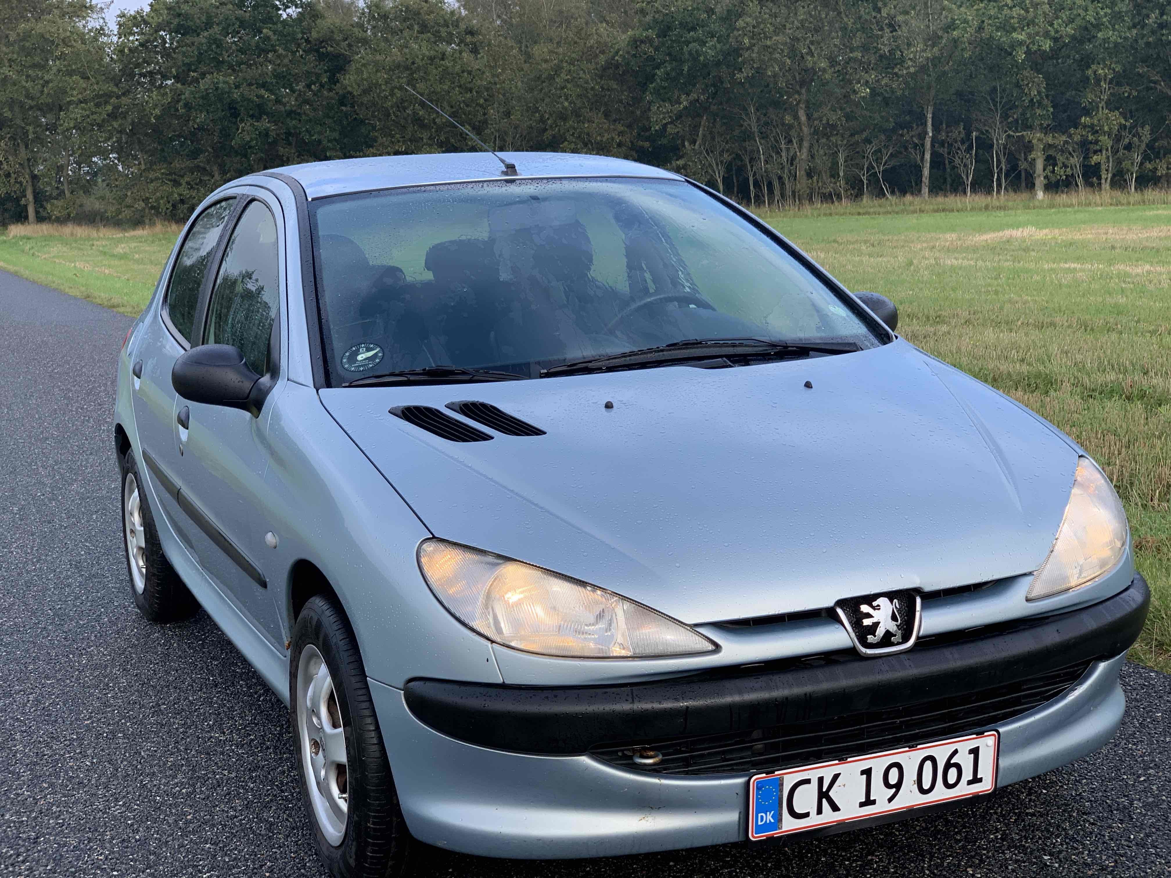 Blå Peugeot 206 fra 2001
