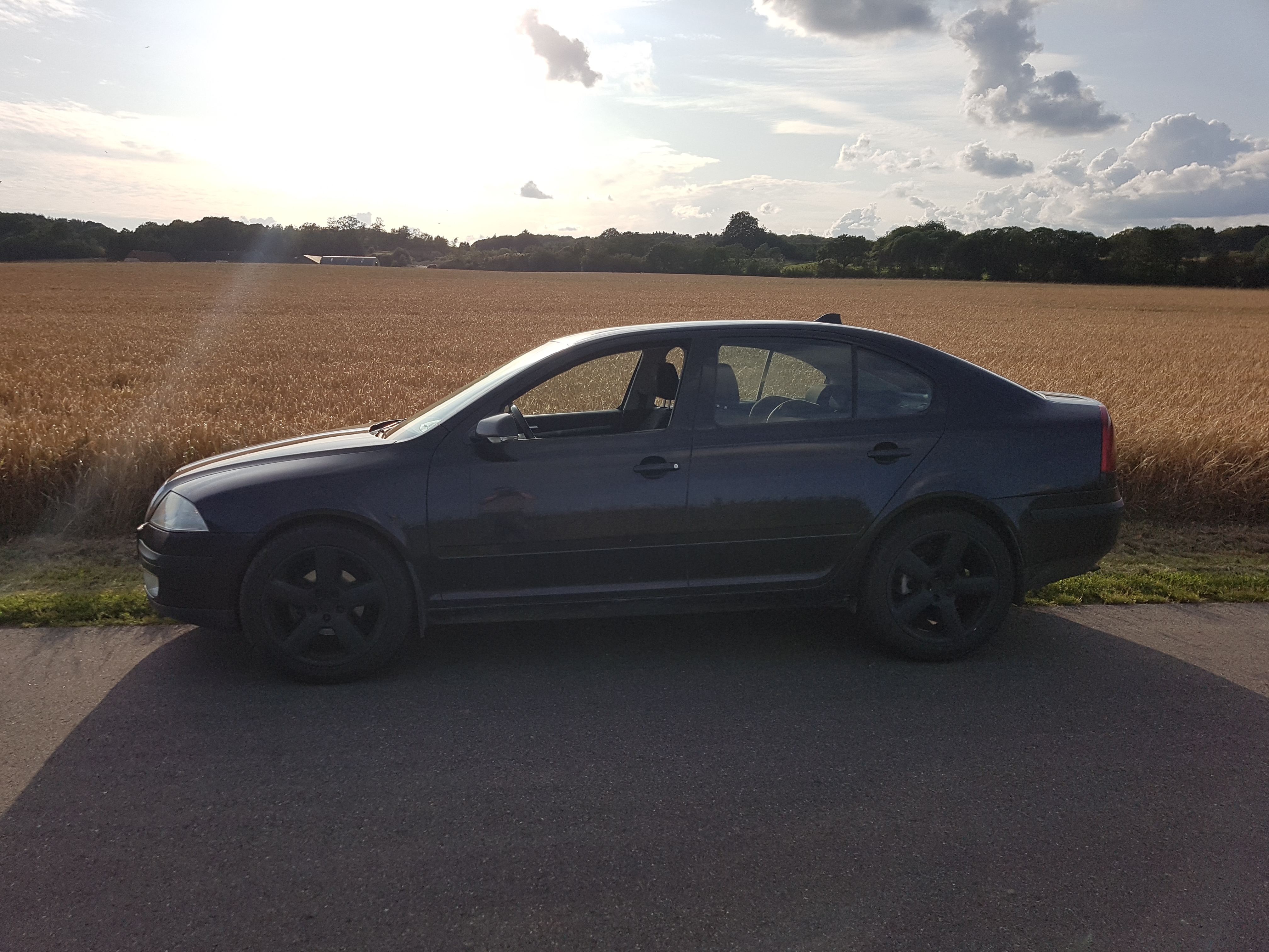 Sort Skoda Octavia fra 2005