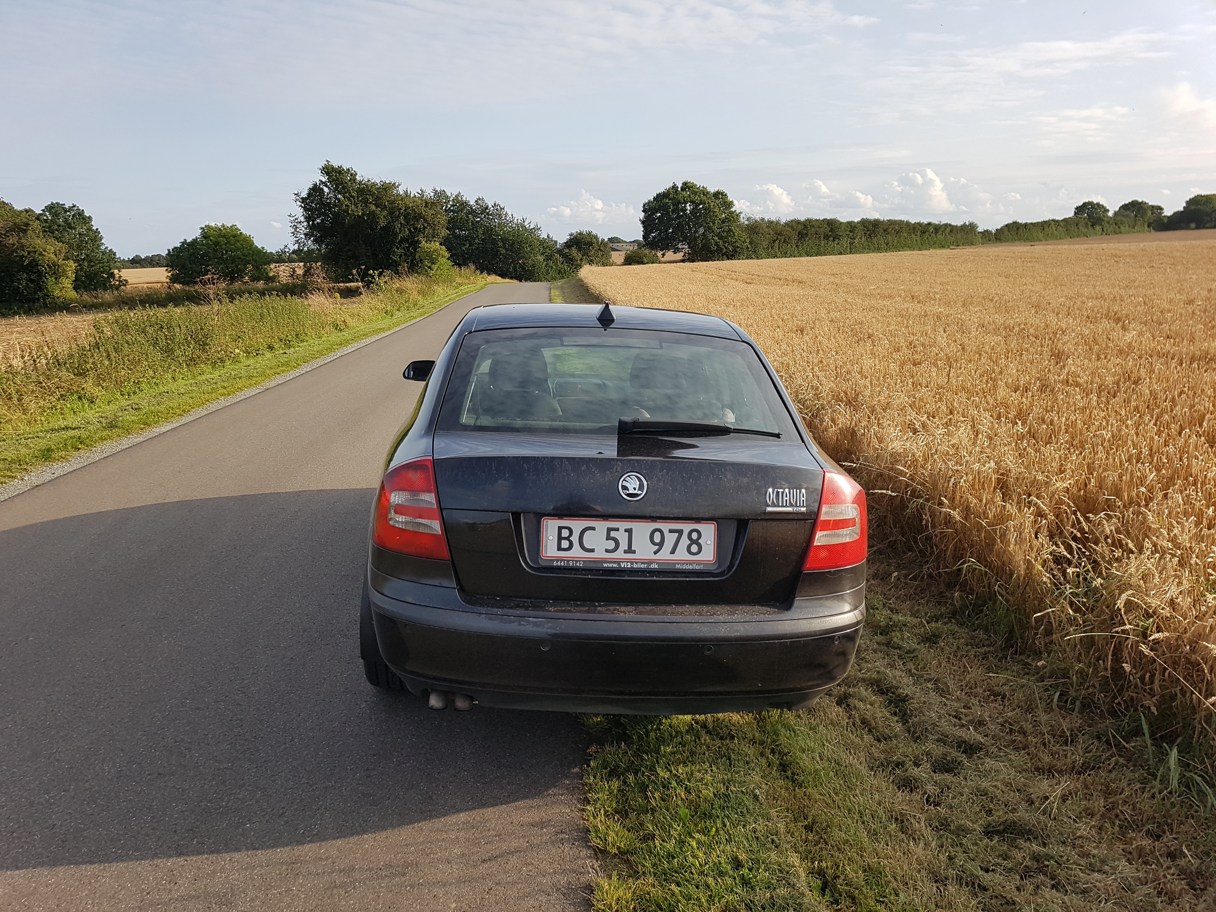 Sort Skoda Octavia fra 2005