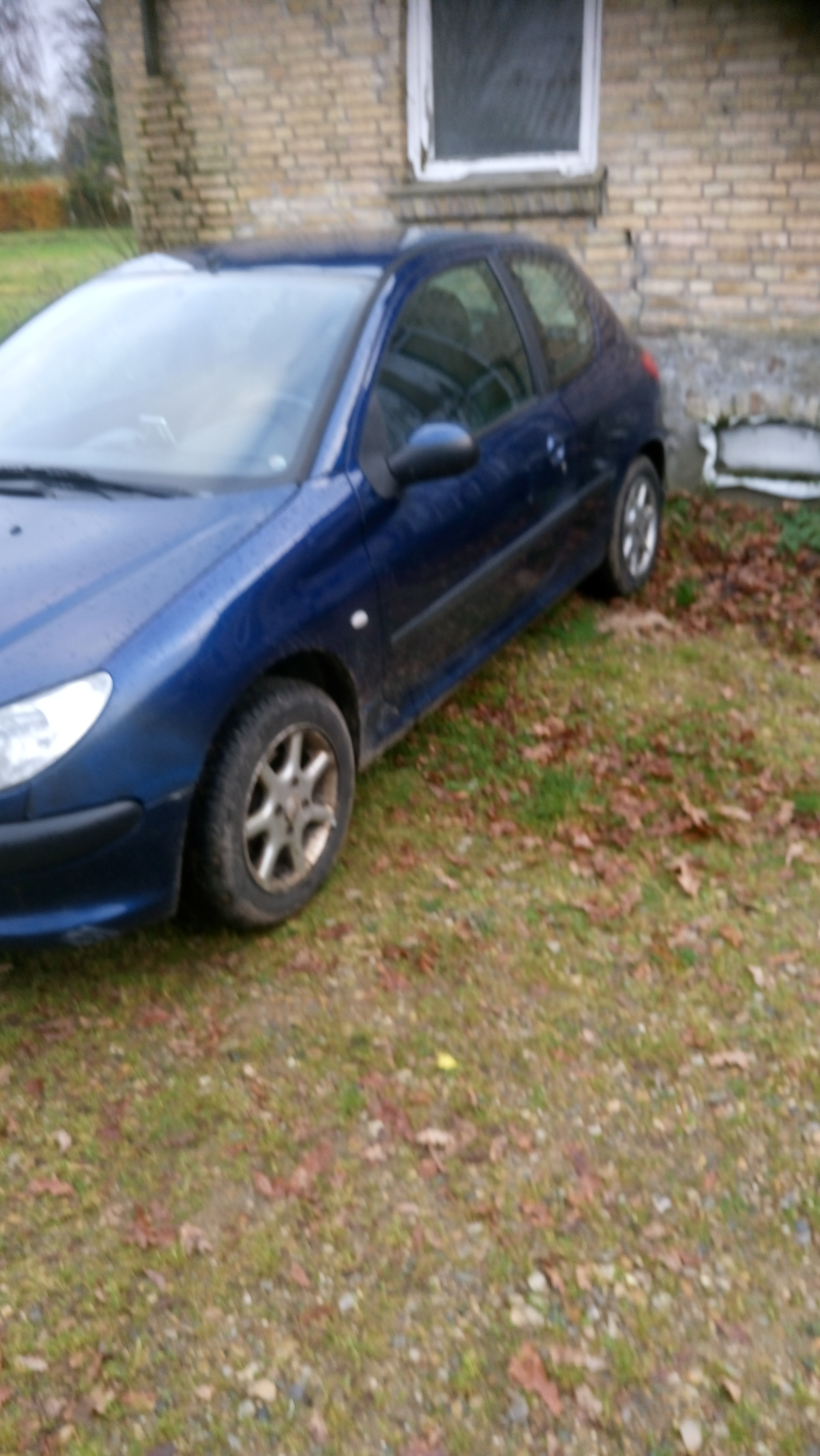 Blå Peugeot 206 fra 2006