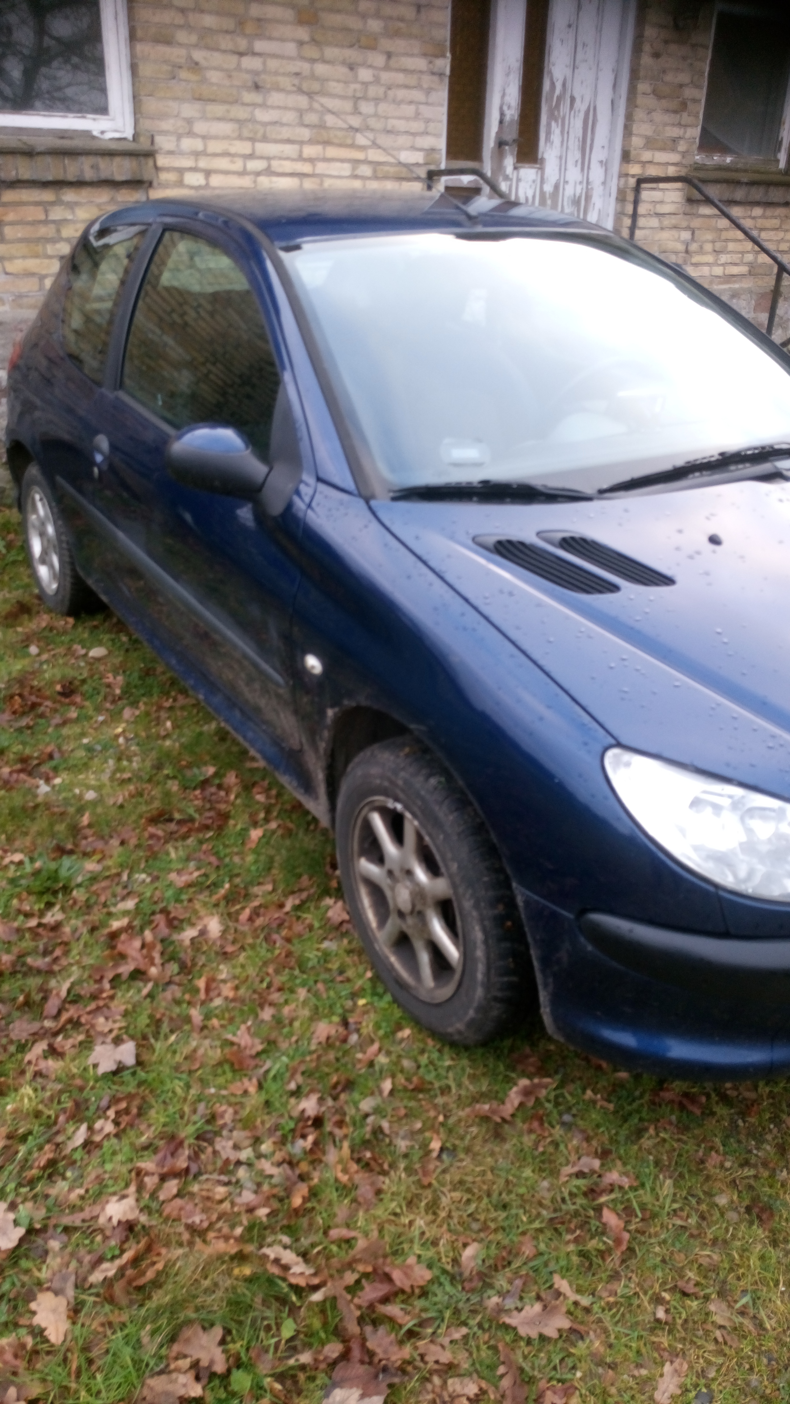 Blå Peugeot 206 fra 2006