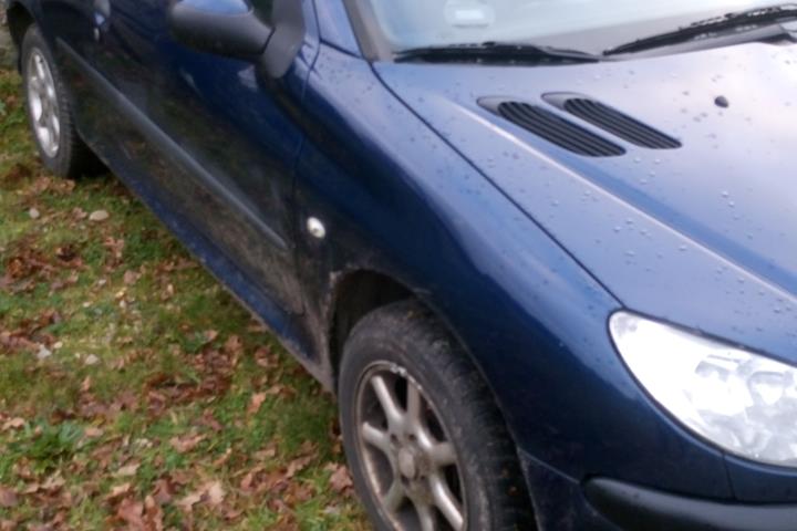 Blå Peugeot 206 fra 2006
