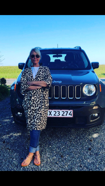 Grå Jeep Renegade fra 2016